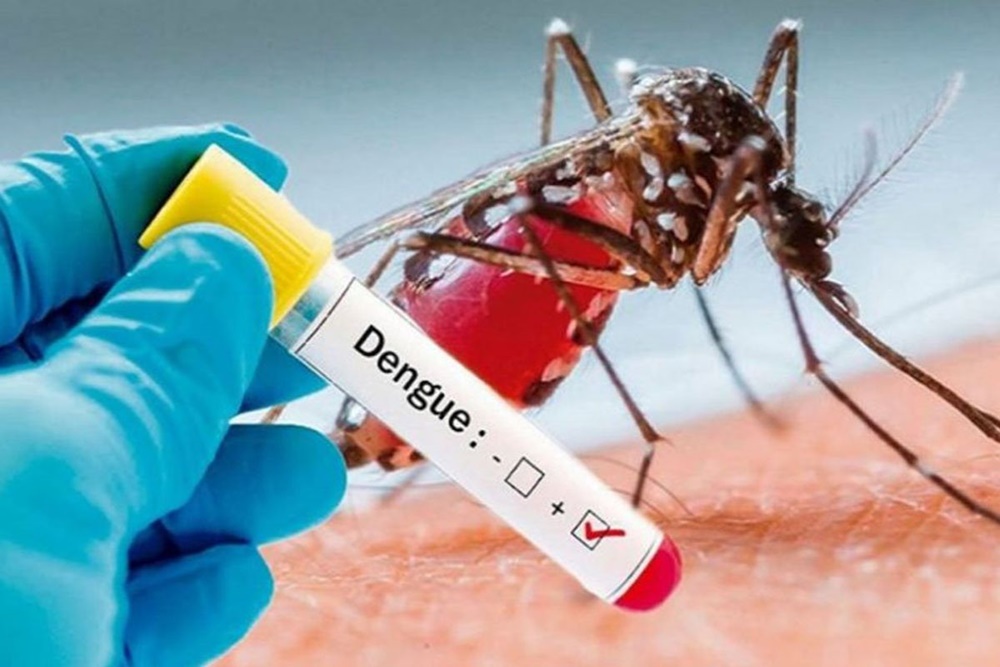 Dengue Fever